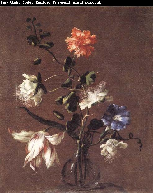 Mario Dei Fiori Theee Caper Flower,a Carnation,a Bindweed,and a Tulip